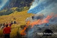 Petugas gabungan masih melakukan pemadaman karhutla di kawasan Gunung Semeru, TNBTS, Kabupaten Lumajang, Jawa Timur.