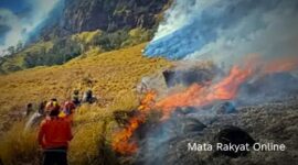Petugas gabungan masih melakukan pemadaman karhutla di kawasan Gunung Semeru, TNBTS, Kabupaten Lumajang, Jawa Timur.